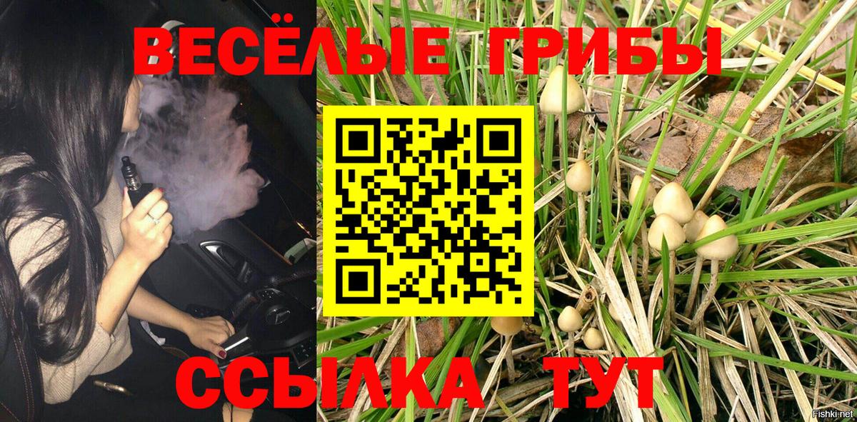 Салехард  Галлюциногенные грибы Psilocybe  Псилоцибиновые грибы GOLDEN TEACHER  Вход с VPN 