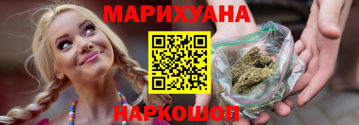 Конопля гибрид Салехард